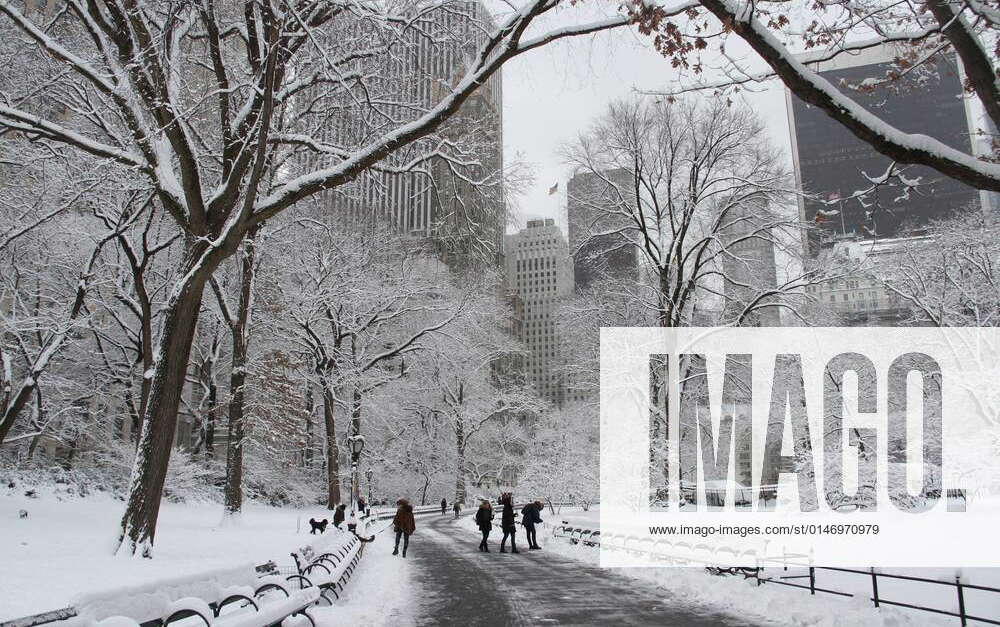 Snowfall at Central Park. January 7, 2022, New York, USA The first