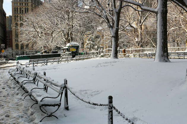 USA: First Snow of the Season Trees and Park benches are covered in ...