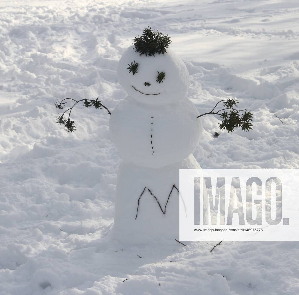 Snowfall at Central Park January 7, 2022, New York, USA The first