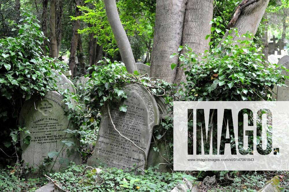 Highgate Cemetery East, London, England, UK xagefotostockx xJean ...