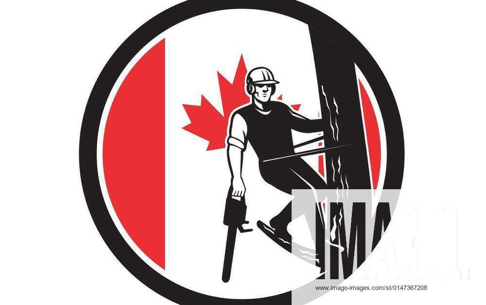 Canadian Tree Surgeon Canada Flag Icon