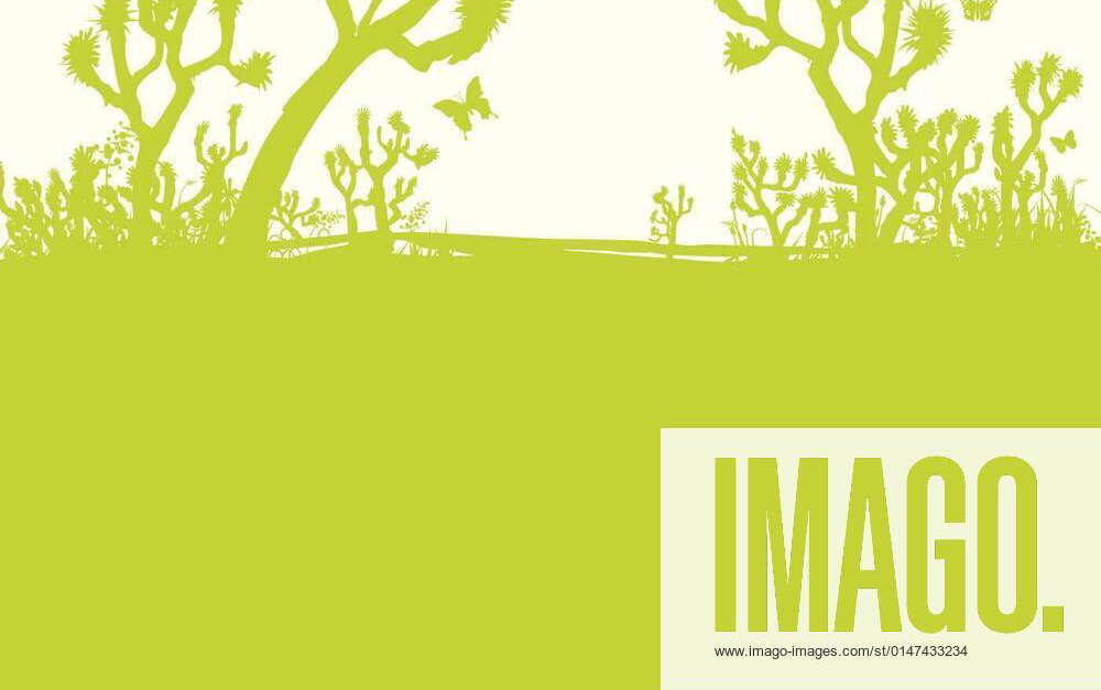 Joshua tree or joshua tree in the desert