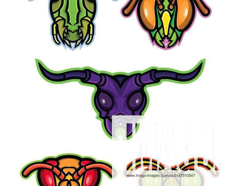 Insects Mascot Collection