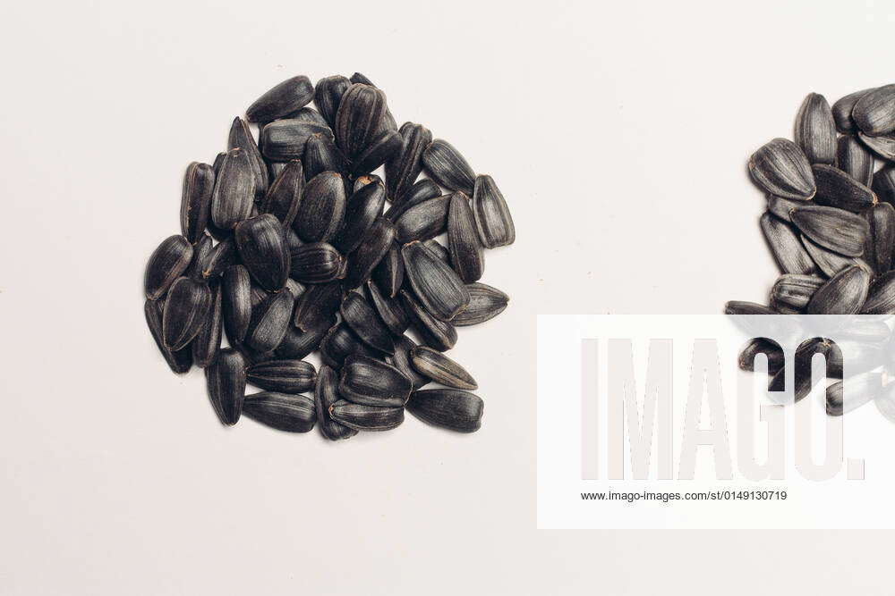 Sprouting sunflower seeds organic agriculture natural product sprouting