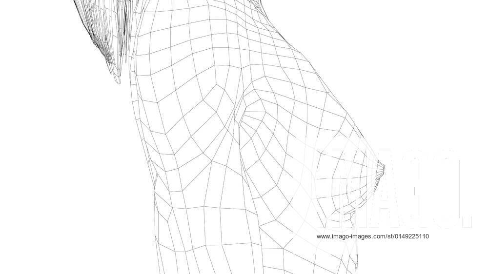 Wireframe female breast. Close-up view Wireframe female breast