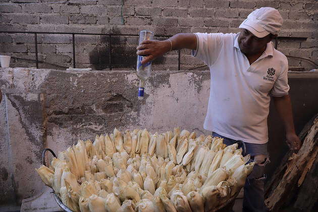 Making Tamales To Mark Candlemas Day In Mexico Inhabitants of San ...