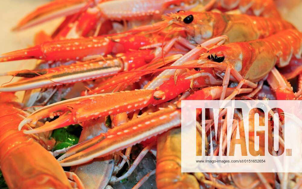 Lobsters (Nephrops norvegicus) in La Boqueria market, Barcelona