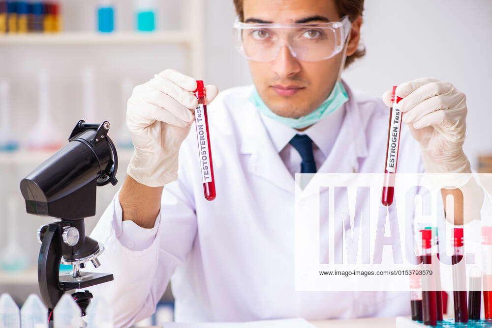 Young handsome lab assistant testing blood samples in hospital, model