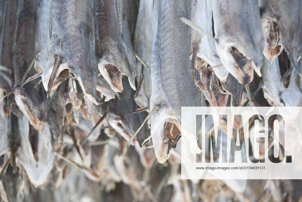 Buy Stockfish From Norway