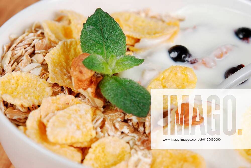 Oat, wheat and corn flakes with nuts, yogurt and mint leaves in a small white bowls