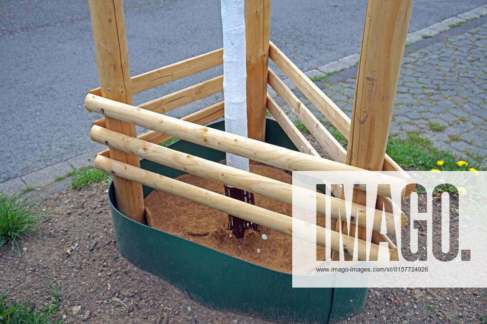 Sustainable water supply for trees Watering collars are located on