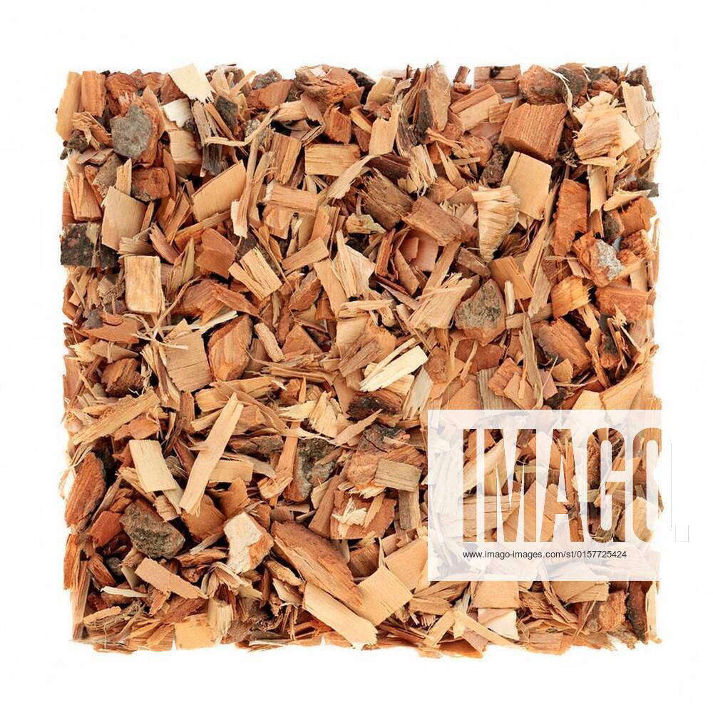 Saw palmetto herb used in herbal medicine to reduce urinary frequency