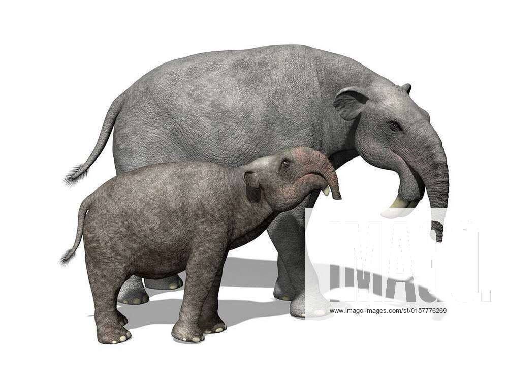The Deinotherium was an extinct mammal that lived during the Miocene era  and is related to