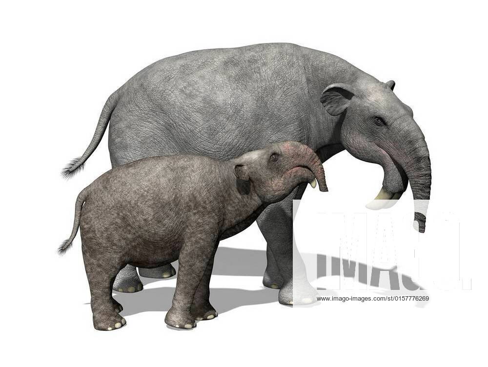 Deinotherium