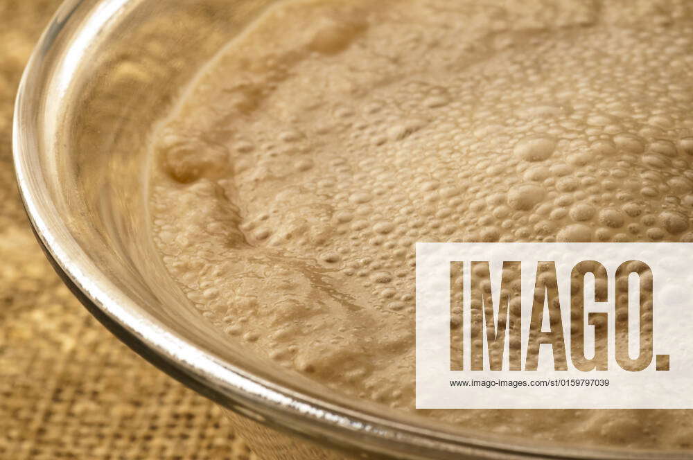 Yeast , 34568358, yeast, Saccharomyces cerevisiae, fermentation