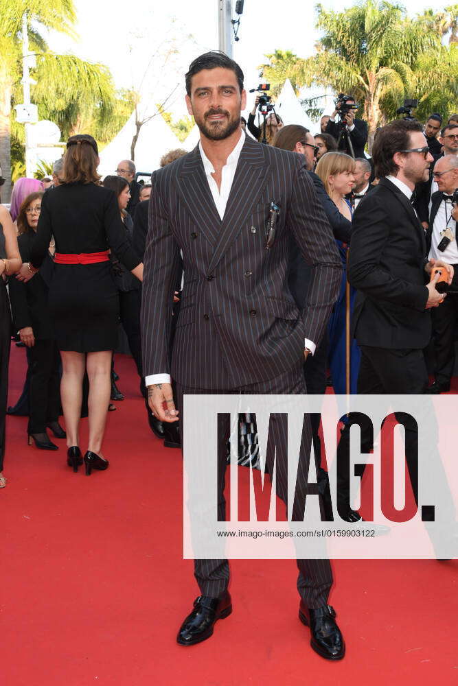 75th Cannes Film Festival 2022 red carpet Elvis Pictured Michele