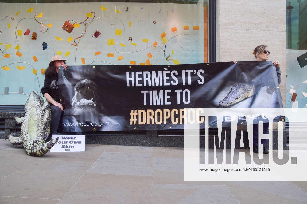 London, UK. 28th May 2022. Animal rights activists gathered outside the  Hermes store in Bond Street in protest against the use of crocodile and  other animal skins in the fashion brand's products.