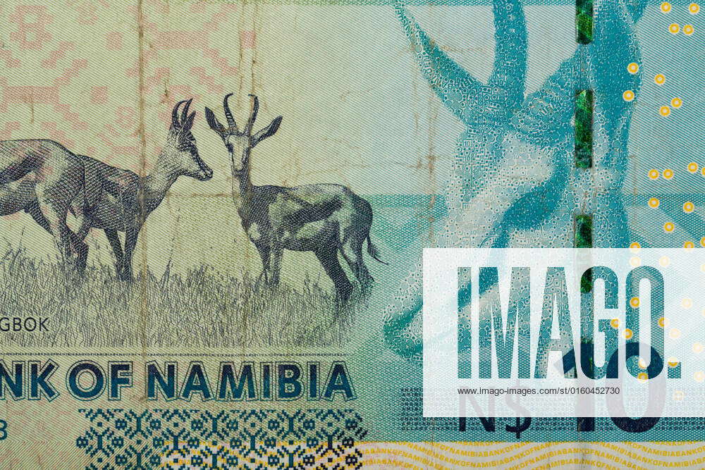 Detail of 10 Namibian dollars banknote. Namibian dollars is the