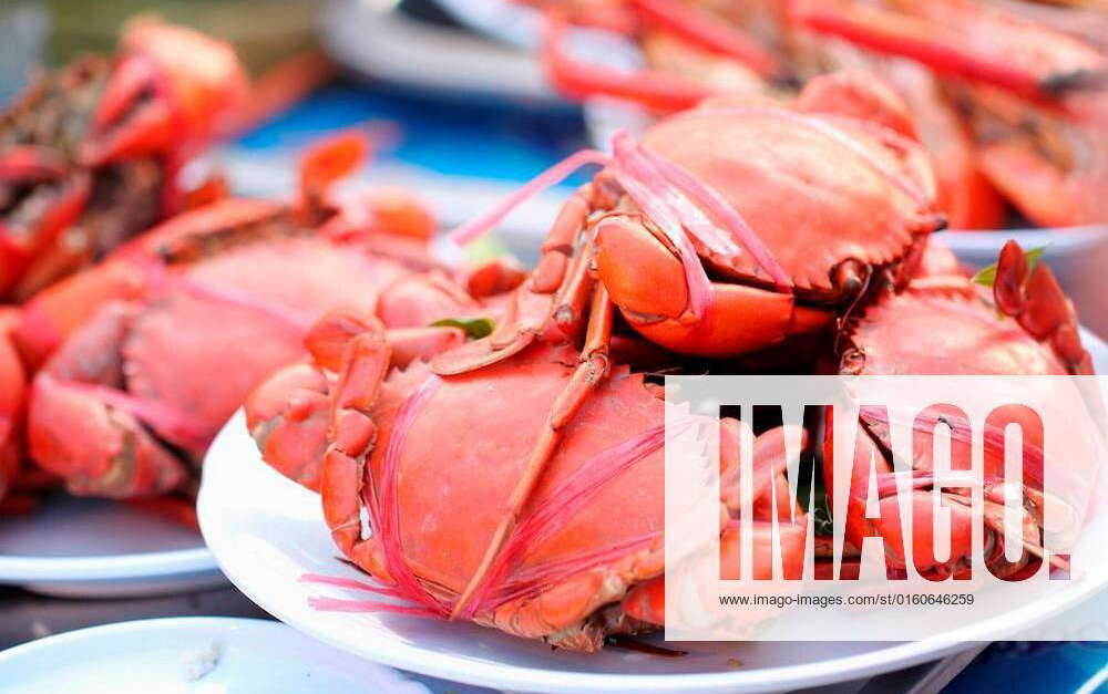 Many red crabs for sale on market xFotosearchxLBRFx xCSP_myrainjom01x