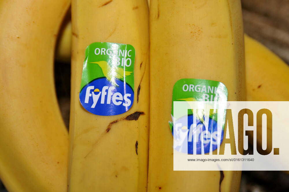 Kastrup Copenhagen Denmark 22 June 2022 Fyffes organic bio bananas