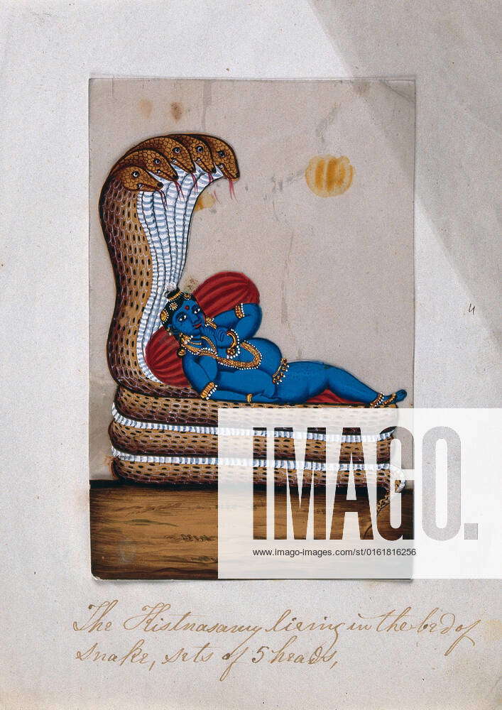 Krishna lying on the coils of a five headed snake, supported by some ...