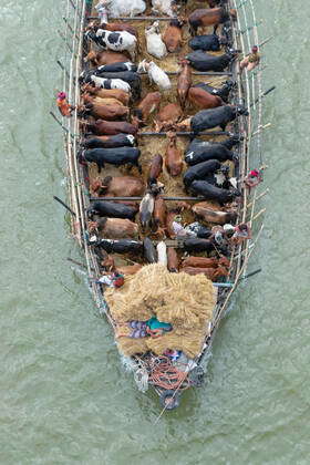 July 4, 2022, Munshiganj, Dhaka, Bangladesh: Sellers transport dozens ...