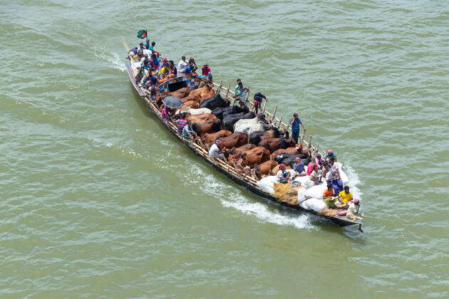 July 7, 2022, Munshiganj, Dhaka, Bangladesh: Sellers transport dozens ...