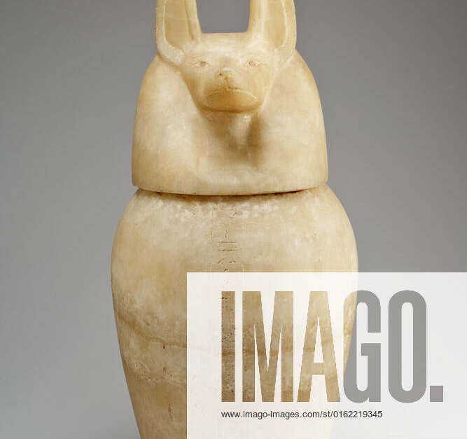 Canopic jar with a jackal-headed lid 664 525 B.C. Late Period, Saite ...