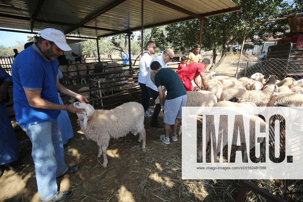 (220707) -- ALGIERS, July 7, 2022 -- People Select Sheep At A Sheep ...