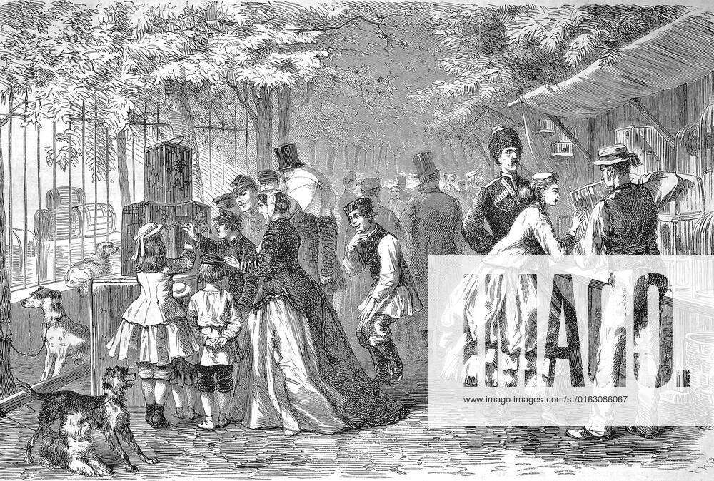 Der deutsche Vogelmarkt im Garten der Börse in Sankt Petersburg