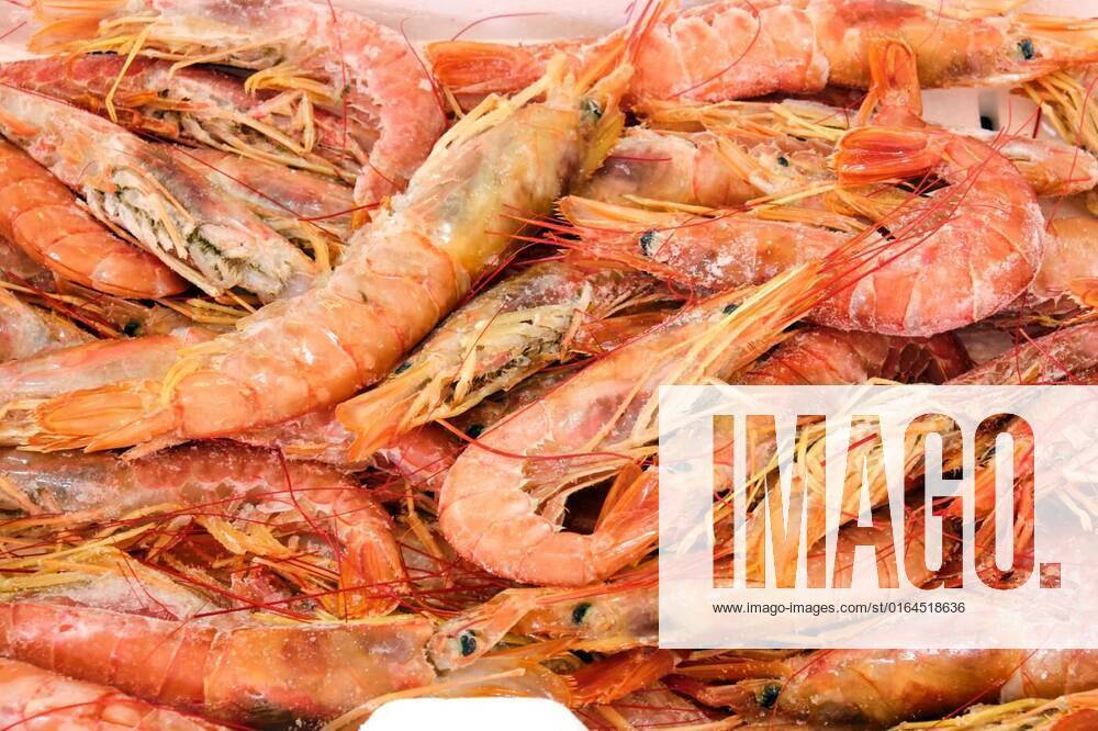 Fresh shrimps for sale at a market