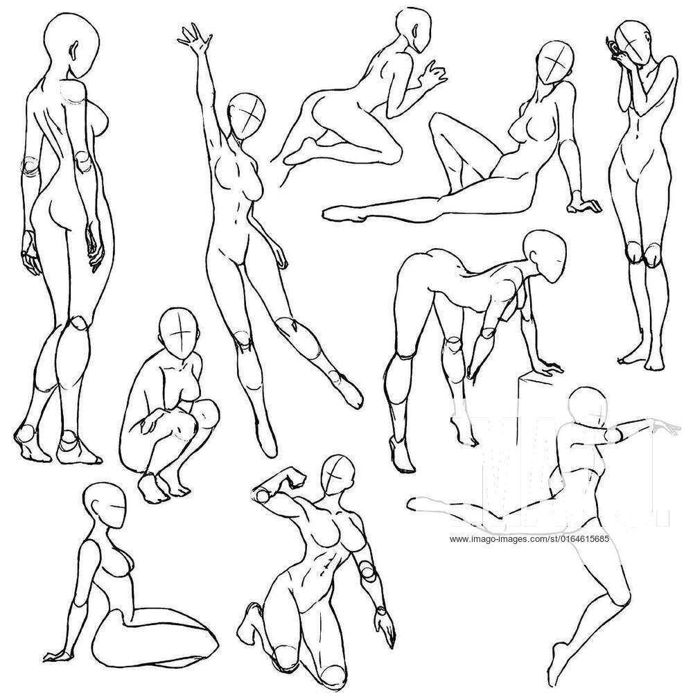 Tutorial of drawing female body. Drawing the human body, step by step  lessons. Stock Illustration | Adobe Stock