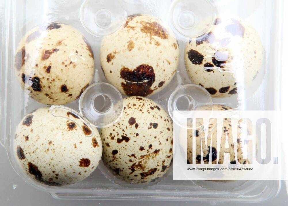 Image Of Fresh Quail Eggs In A Package, Image Of Fresh Quail Eggs In A