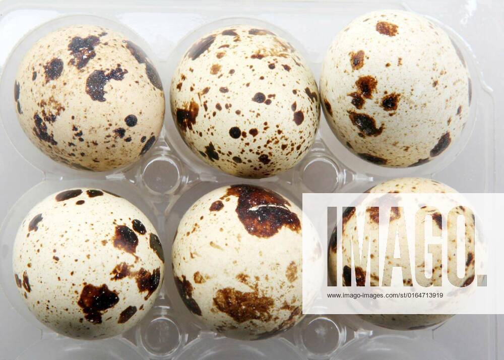 Image Of Fresh Quail Eggs In A Package, Image Of Fresh Quail Eggs In A