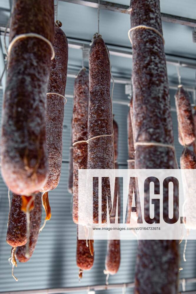 Traditional salami styles, Mold is great for traditional salami styles