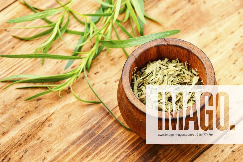 Fresh and dry tarragon, Raw and dry tarragon spice.Tarragon or