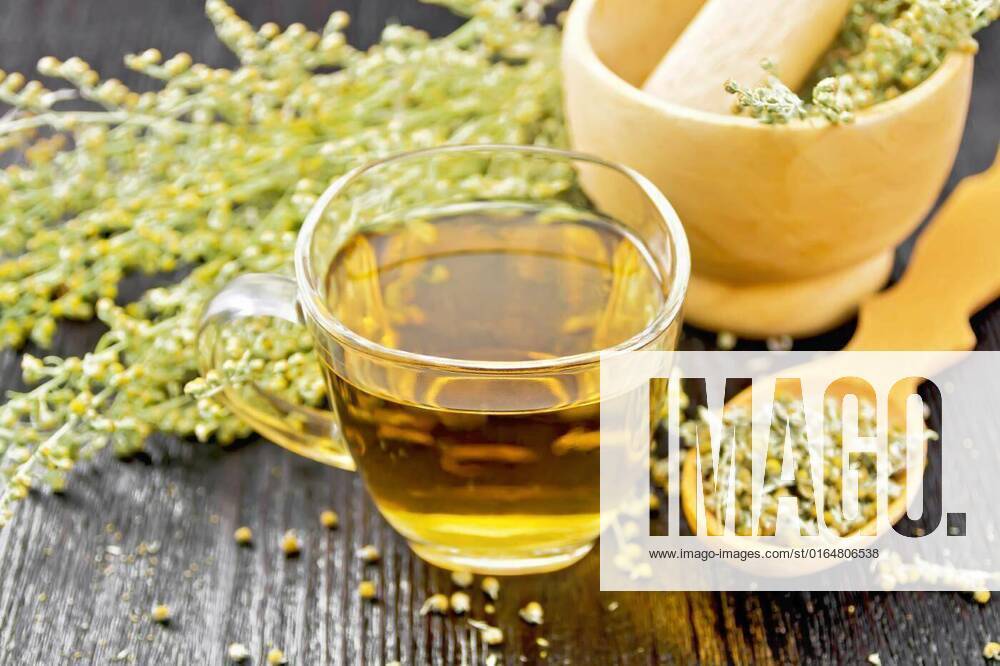 Tea of gray wormwood in glass cup with mortar on black board, Gray