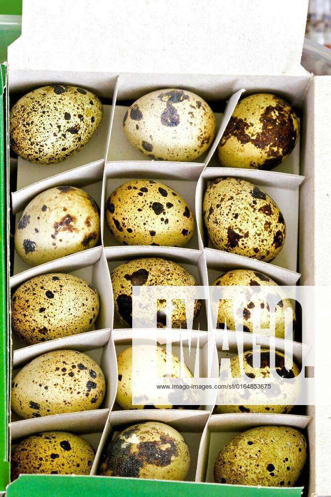 Quail eggs, Box of natural healthy wild quail eggs