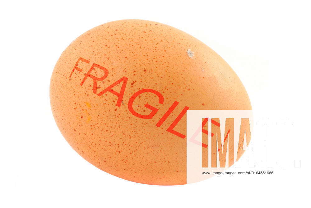 fragile freerange egg isolated on pure white background Y Copyright