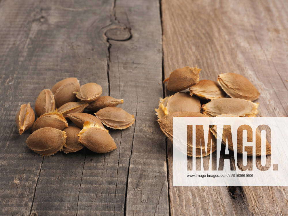 Seeds of sugar apricots on the left and ordinary apricots on the