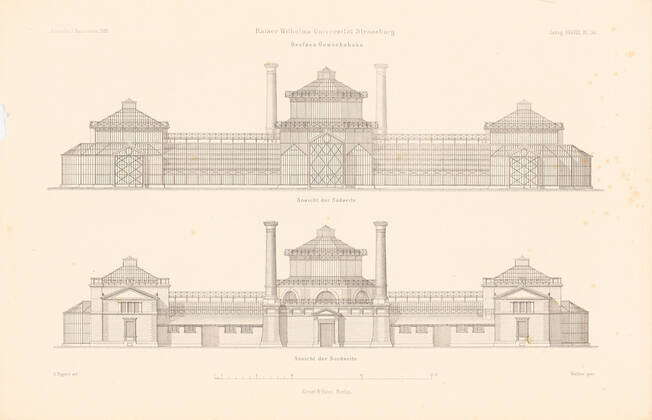 Eggert Hermann (1844-1920), large greenhouse of the Wilhelms University ...