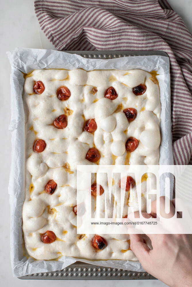 preparation,baking sheet,dried tomato,documents,focaccia,preparations