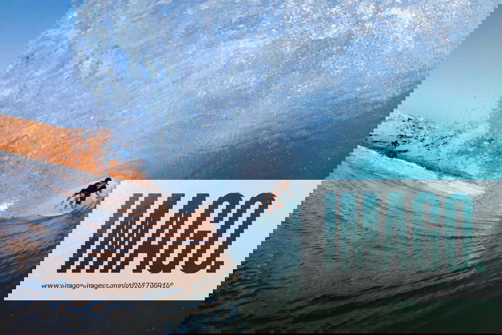 welle,surfen,surfer,wellen,homonym,surf,surferin,wellenreiten