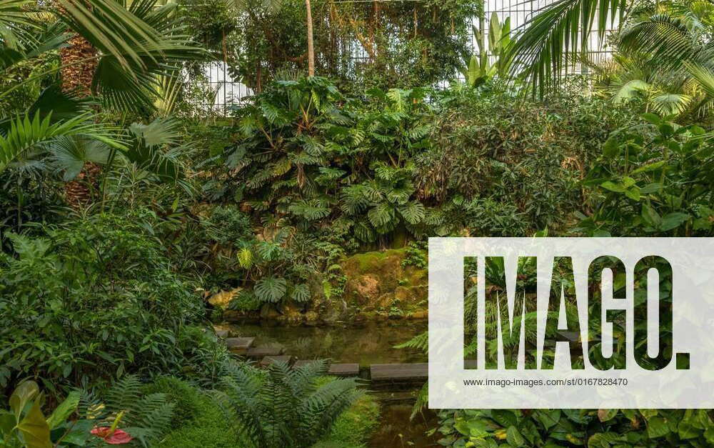 Exotic plants in the historic Palmenhaus, Palmengarten in Frankfurt am ...