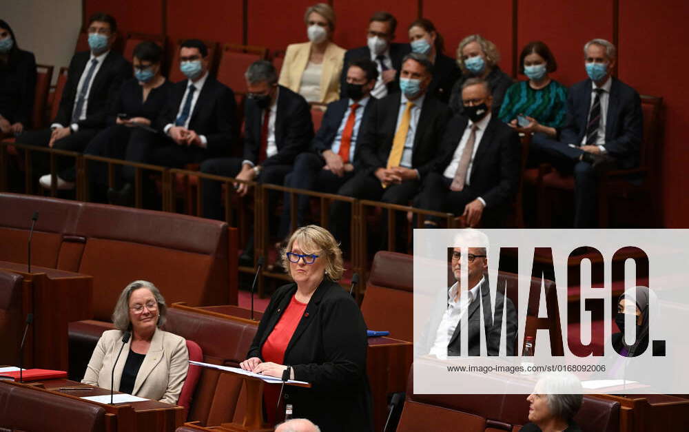 LINDA WHITE FIRST SPEECH, Labor Senator Linda White makes her first