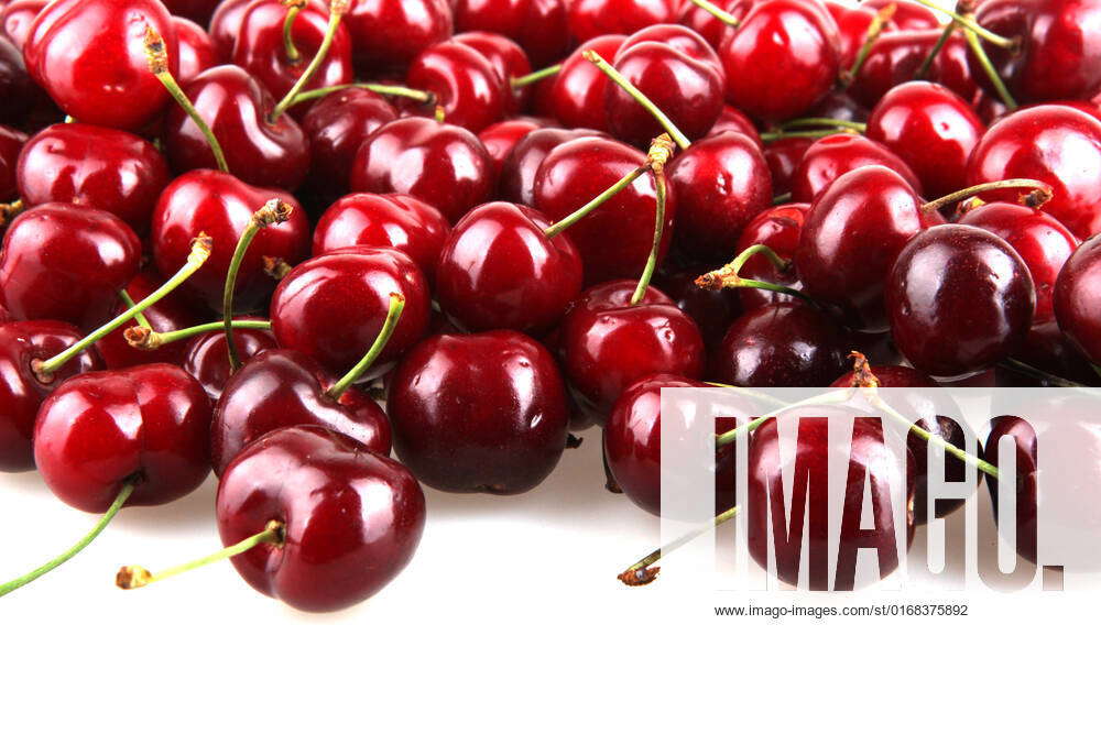 Sweet cherry. , 5890268, benefits, black, blossom, blossoms, buy, cake