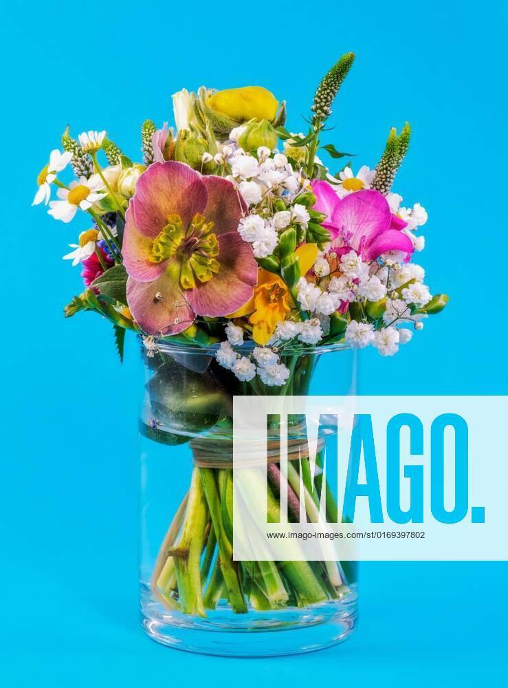 spring-flower-arrangement-in-a-glass-vase-closeup-of-a-spring-flower