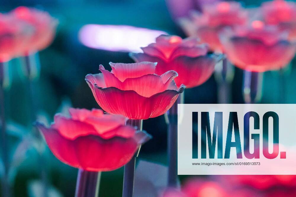 The Lights Are Decorated As Flowers To Create Beautiful Light At Night the-lights-are-decorated-as-flowers-to-create-beautiful-light-at-night