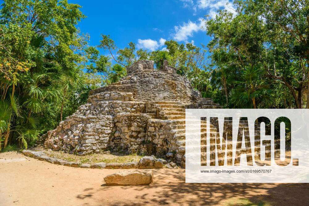 Mayan ruins in shadow of trees in jungle tropical forest Playa del ...