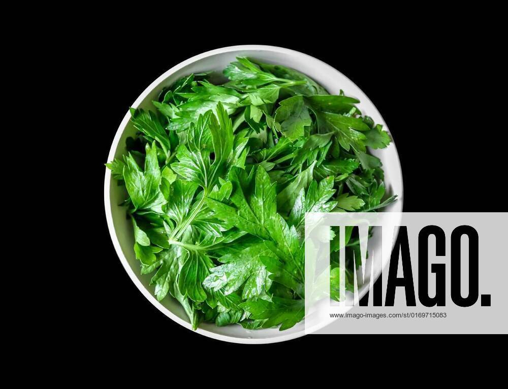 Parsley leaves in a bowl, Fresh parsley leaves in a white bowl, Fresh